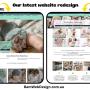 Website re-desing