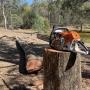 Tree service