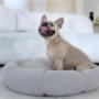 Lucid OASIS Dog Bed
