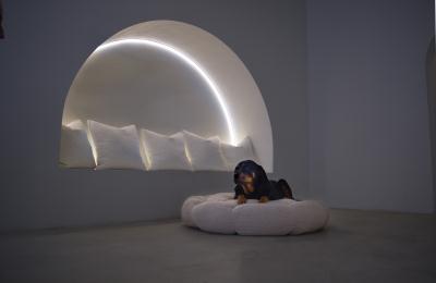 Large-Dog-Beds-by-lucid