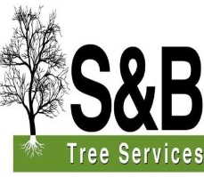 S&B Tree Services Northern Beaches