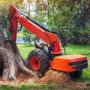 Tree Stump Removal