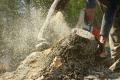 Tree lopping Services