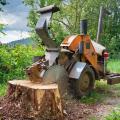 Tree Stump Grinding