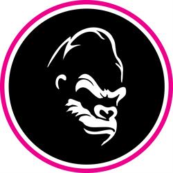 Monsta Media Palm Beach