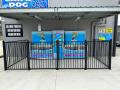 K9000 Dog Wash