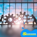 Company and Trust Formation
