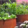 corten-garden-rings - Lawn Edging