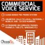 Commercial Voice Services