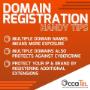 Domain Registration