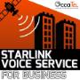 Starlink Voice 4 Business