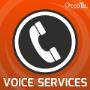 Voice Services
