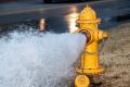 Fire Hydrant Systems