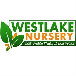 Westlake Nursery - Truganina