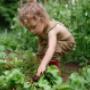 childcare-morningside-1