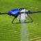 Agricultural-spray-drones