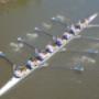 Crew Rowing