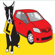 Margaret & Sallys Driving School