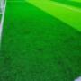 wollongong-artificial-grass.jpg