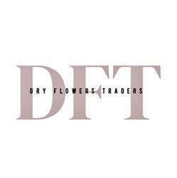 Dry Flowers Traders - Dried/Fresh flowers warehouse near you
