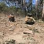 Chop It Tree Services