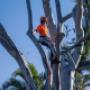 Chop It Tree Services