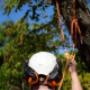 Chop It Tree Services