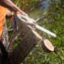 Chop It Tree Services
