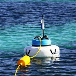 Power Dive International