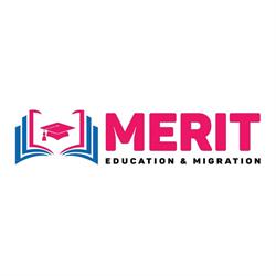 Merit Services