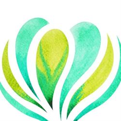 The Healing Practice (Claire Cleaver)