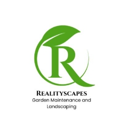 Realityscapes