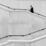 commercial-litigation-lawyers-brisbane-3