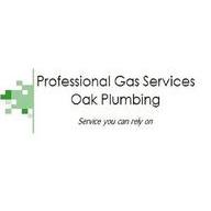 Professional Gas Service