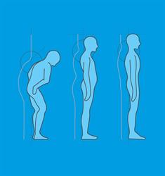 Dalkeith Chiropractic