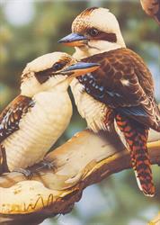 Kookaburra Lodge Motel