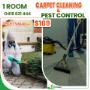 Carpet cleaning