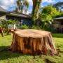 Smart Tree Removal Brisbane