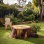 Smart Tree Removal Brisbane