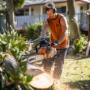 Trusted Tree Lopping Brisbane