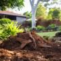 Trusted Tree Lopping Brisbane