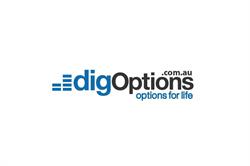 DIG Options