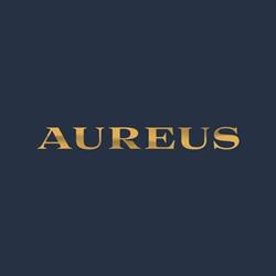 Aureus Skennars Head