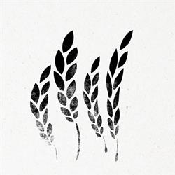 Harvest Time Church