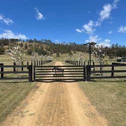 Meadows Equestrian