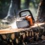 Tree Lopping