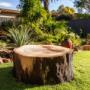 Tree Pruning & Maintenance