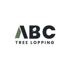 ABC Tree Lopping Brisbane