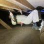 Pest Control Service