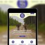 Solace Website Design Wix